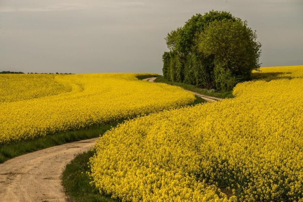 Eco Gite Argonne, Gite Insolite Lisle-en-Barrois Экстерьер фото